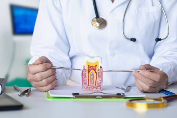 Best Emergency Gum Treatment in East Flat Rock, NC
